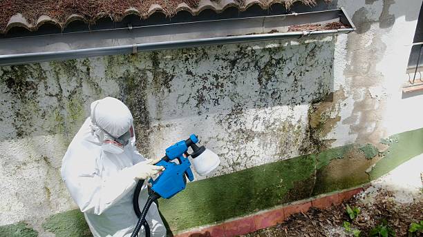 Top rated local Mold Remediation specialists in Buies Creek, NC